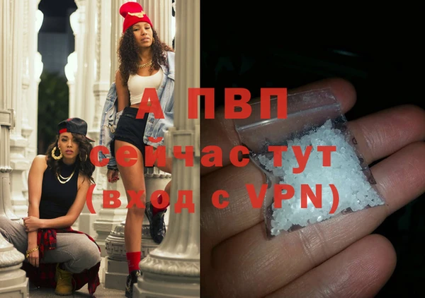 мяу мяу мука Абаза