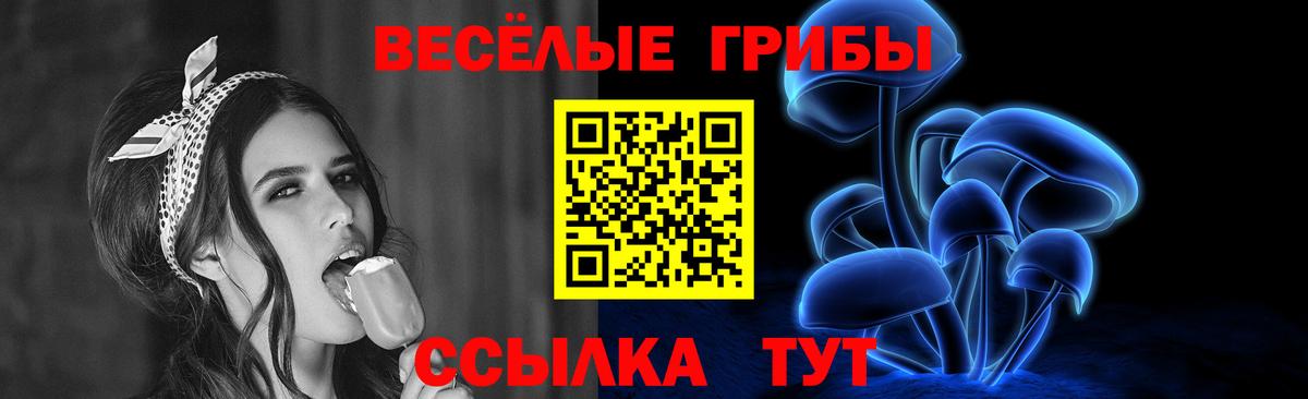 Галлюциногенные грибы GOLDEN TEACHER Сыктывкар